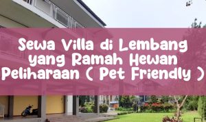 info Sewa Villa di Lembang yang Ramah Hewan Peliharaan