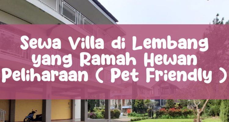 info Sewa Villa di Lembang yang Ramah Hewan Peliharaan