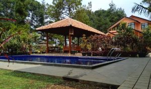 sewa villa di kampung daun private pool